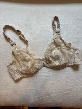 Sheer Lace Underwire Bra in Cream